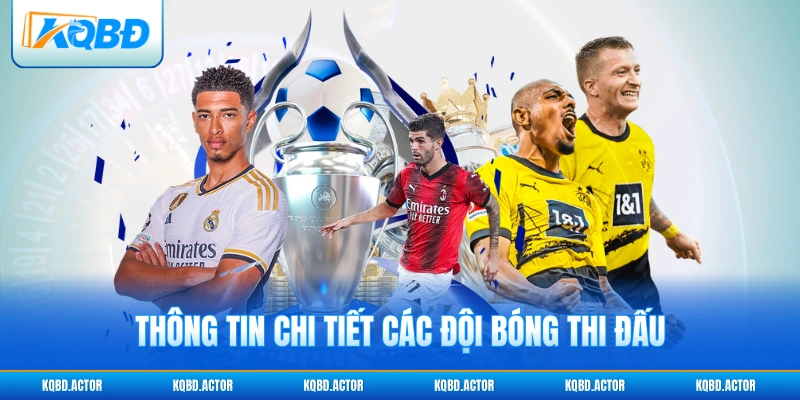 Thông tin chi tiết các đội bóng thi đấu